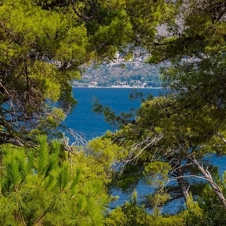 Apartman Gorgeous Dora *