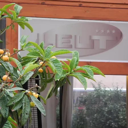 Gorgeous Dora * Cavtat