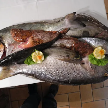 Apartment Gorgeous Dora