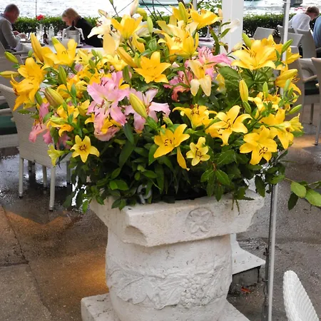 Gorgeous Dora Lägenhet