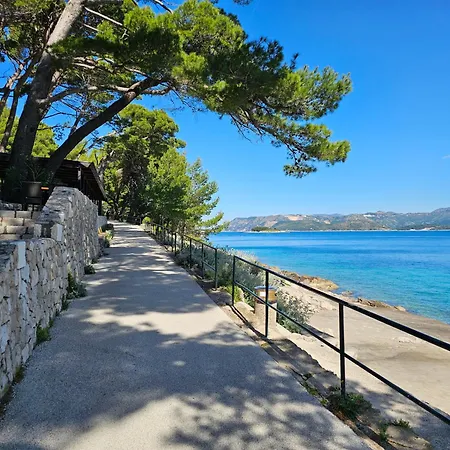 Gorgeous Dora Cavtat