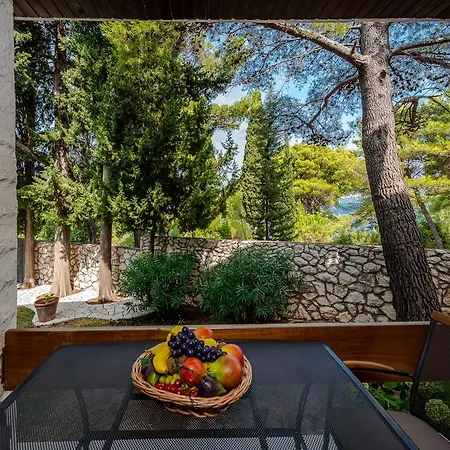 Apartment Gorgeous Dora Cavtat