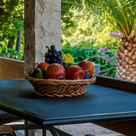 Apartment Gorgeous Dora *