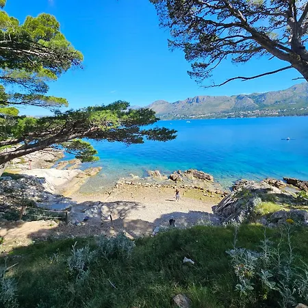 Gorgeous Dora * Cavtat
