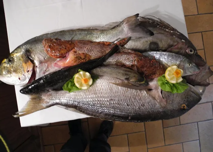 公寓 Gorgeous Dora