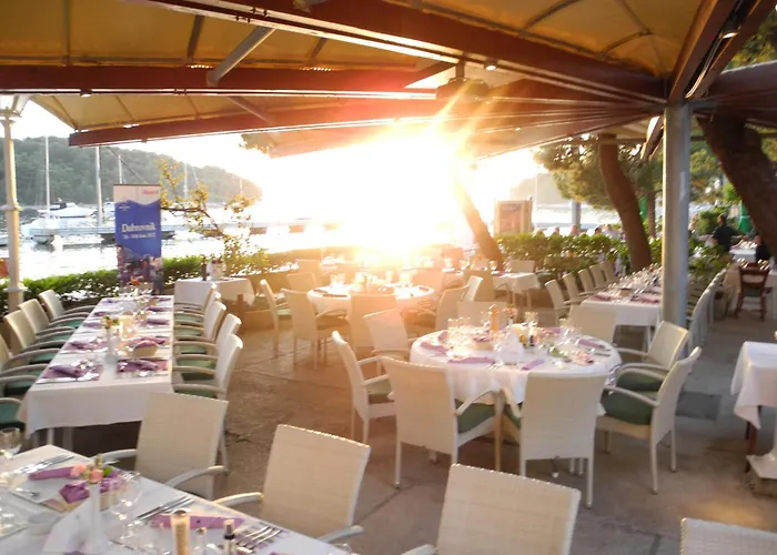 Gorgeous Dora * 察夫塔特