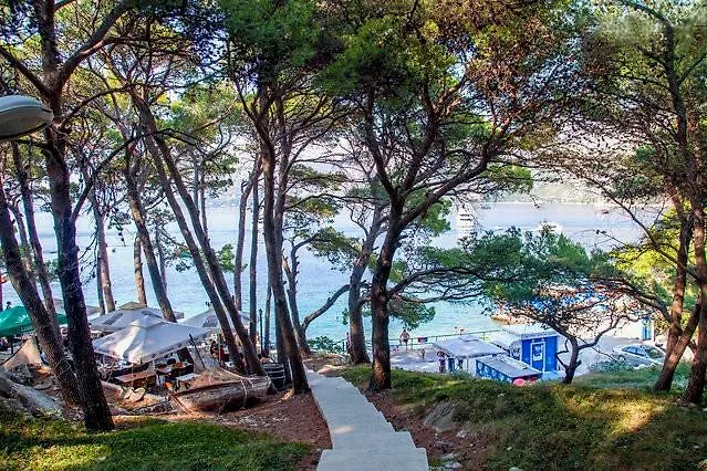 Gorgeous Dora 察夫塔特