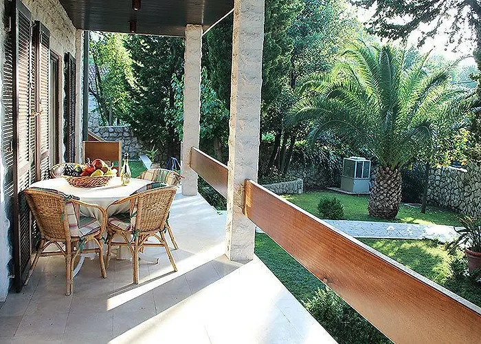 Gorgeous Dora 察夫塔特