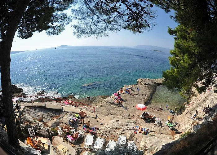 Gorgeous Dora 察夫塔特