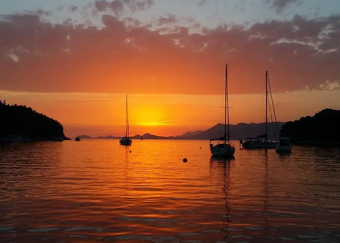 Gorgeous Dora * 察夫塔特