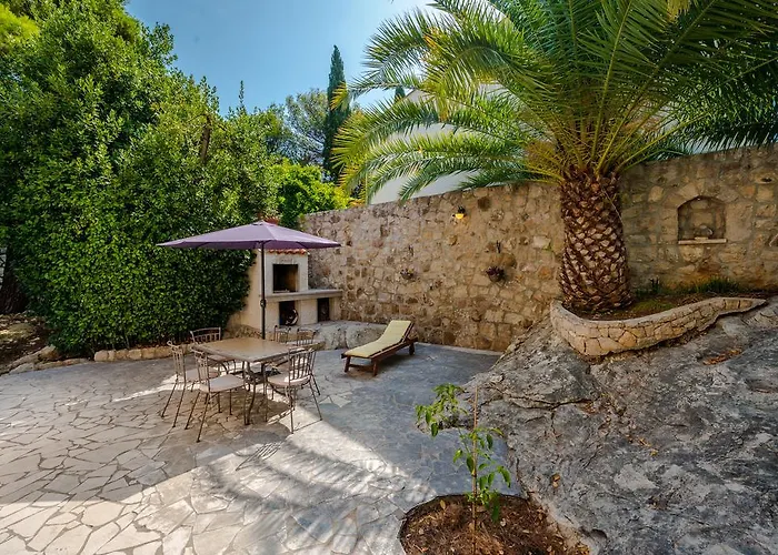 Gorgeous Dora * 察夫塔特