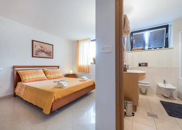 Gorgeous Dora * 察夫塔特