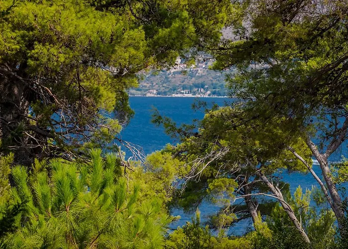 公寓 Gorgeous Dora *