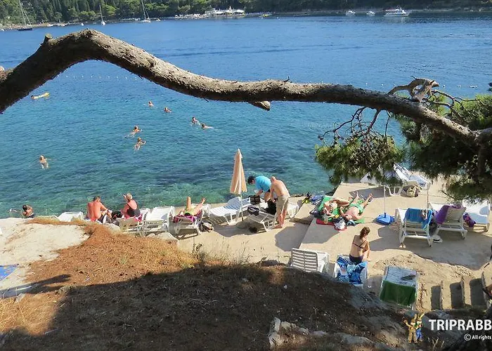 Gorgeous Dora 公寓 察夫塔特